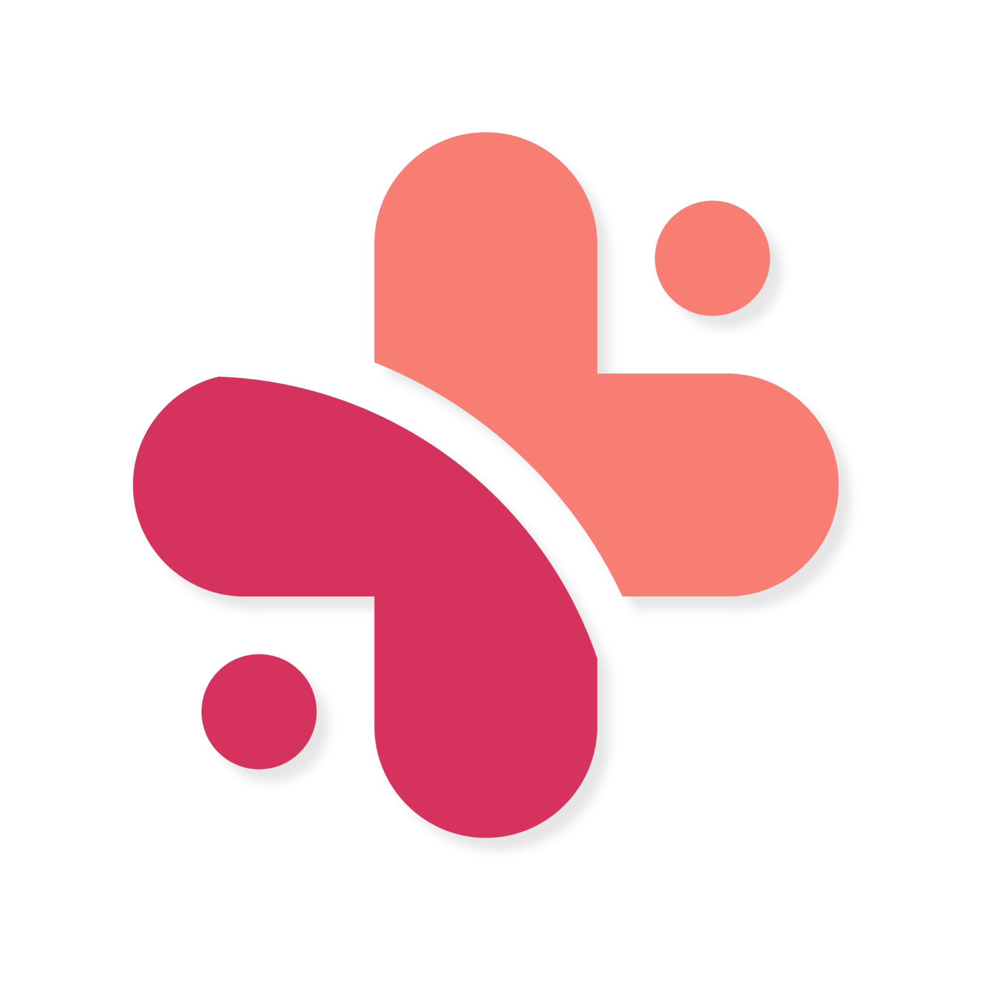 RECKONIZE &ndash; connecting healthcare